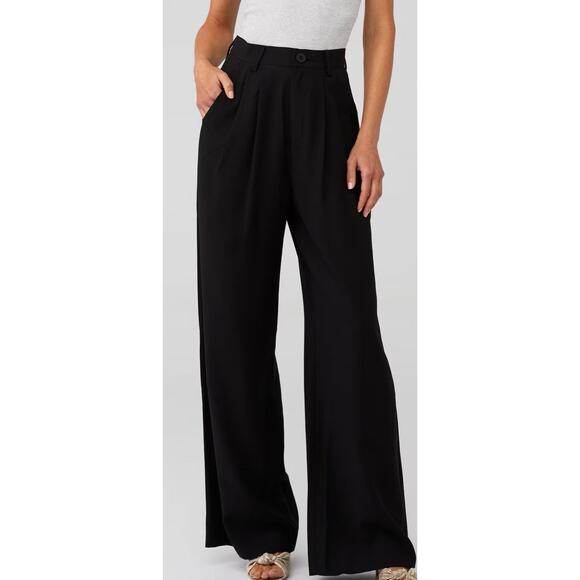 NONchalant Label Fabi Pant in Black LOOSE WIDE LEG PLEATED SIZE XL, Revolve NWT - Picture 1 of 8